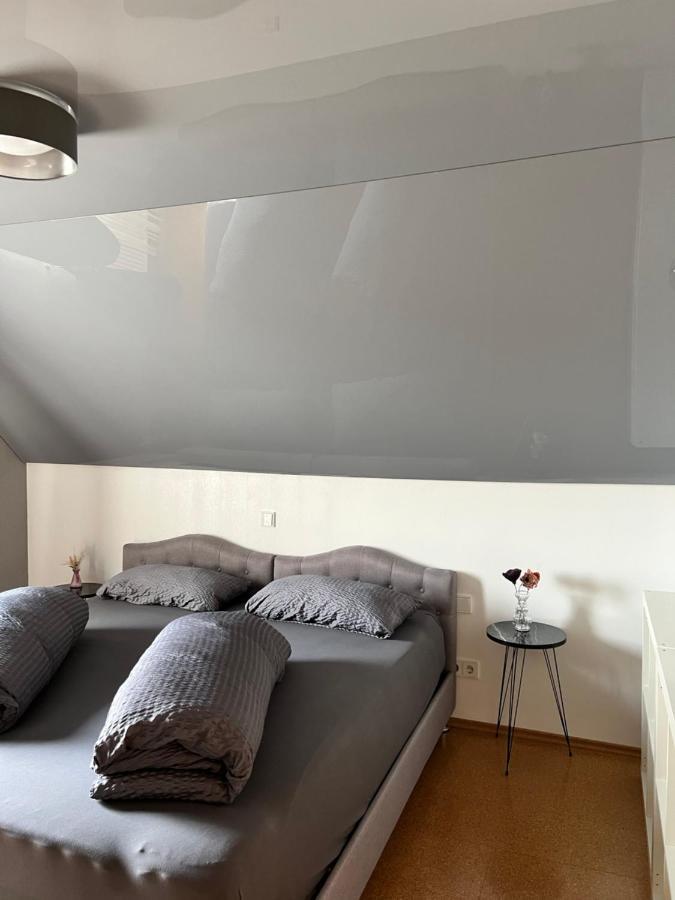 Lifestyle Apartment Sinsheim Ngoại thất bức ảnh